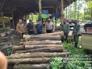 Petugas Perhutani Blitar Tangkap Pelaku Pembalakan Liar