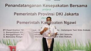 Beras Petani Ngawi Akan Diserap BUMD DKI Jakarta