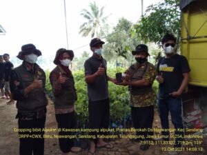 Bantuan Bibit Alpukat untuk Petani Milienial Kelompok Tani Barokah Desa Nyawangan, Sendang