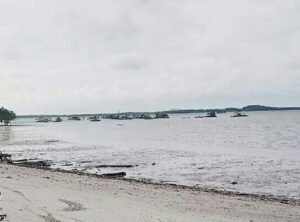 Ada Apa? Tambang Ilegal Beroperasi di Bangka Tak Tersentuh Hukum