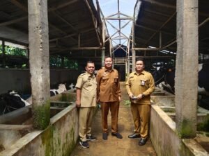 Peternakan Sapi Perah di Malang Membeludak, Dinas Peternakan Berikan Suport