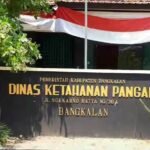 Dinas Ketahanan Pangan