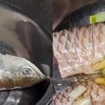 Masak Arwana 22 juta