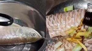 Bikin Elus Dada, Seorang Pria Terpaksa Masak Arwana Rp 22 Juta