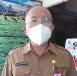 16 Ribu Sapi Terinfeksi PMK, DPKH Malang Gencarkan Vaksin