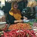Harga Cabai Tinggi