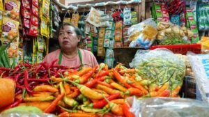 Harga Cabai Rawit Melejit Tinggi, BPS: Inflasi di Malang Naik