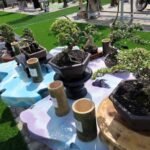 Pameran Bonsai