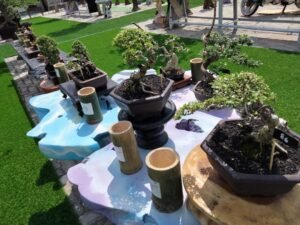 Pameran Bonsai RUBI Cabang Bojonegoro, Ajang Silaturahmi Sekaligus Edukasi