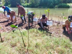 Peringati Hari Mangrove se-Dunia, Polsek Kalidawir dan Tanggunggunung Tanam Bibit Mangrove