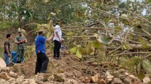 Warga di Tulungagung Ditemukan Tewas Tertimpa Pohon Jati