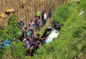Mobil Pickup di Pujon Malang Terjun ke Sawah Sedalam 6 Meter