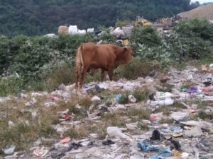 Aroma Busuk TPST Piyungan Bantul Meresahkan Warga