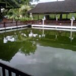 warung