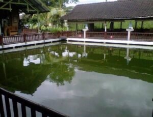 Lima Rekomendasi Kuliner di Bojonegoro untuk Bukber Keluarga