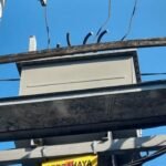 PLN