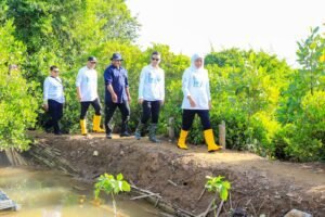 Gubernur KIP  Buka Festival Mangrove ke -4 Jatim di Pancer Pantai Cengkrong Trenggalek