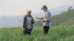 Sensus Pertanian 2023 Telah Dimulai, Ini Manfaatnya bagi Pelaku Usaha Pertanian
