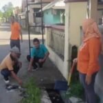 Cegah Chikungunya dengan Program PSN, Desa Sambijajar Menjadi Teladan