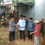 Qurban