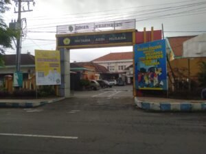 Dinkes Tulungagung Himbau Masyarakat Waspada Chikungunya