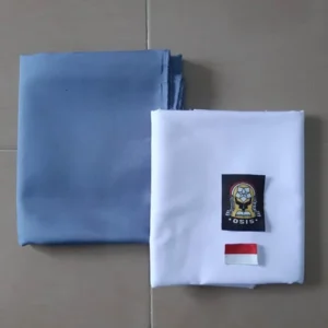 Berkaca pada Pembelian Seragam SMA Negeri di Tulungagung