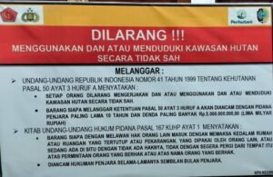 Penertiban Bangunan Liar di  Jalur JLS, Perhutani Koordinasi dengan Aparat Yang Berwenang