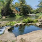 SPAM