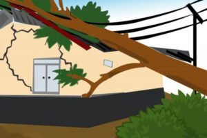 Mendekati Musim Penghujan, Dinas Bina Marga Malang Antisipasi Pohon Tumbang