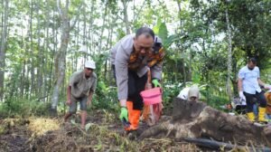Kapolresta Malang Dukung Swasembada Pangan dengan Tanam Jagung