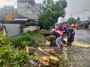Polsek Kedungwaru Bantu Evakuasi Pohon Tumbang Menutup Jalan Jayeng Kusumo