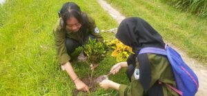 Gerakan Hijau ALWI “Tandur” Bareng dan Tebar Benih Ikan di Bok Brombong Plosokandang
