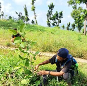 PALA APEL’S SMK 3 Boyolangu Hijaukan Tumpak Klatak dengan 500 Bibit