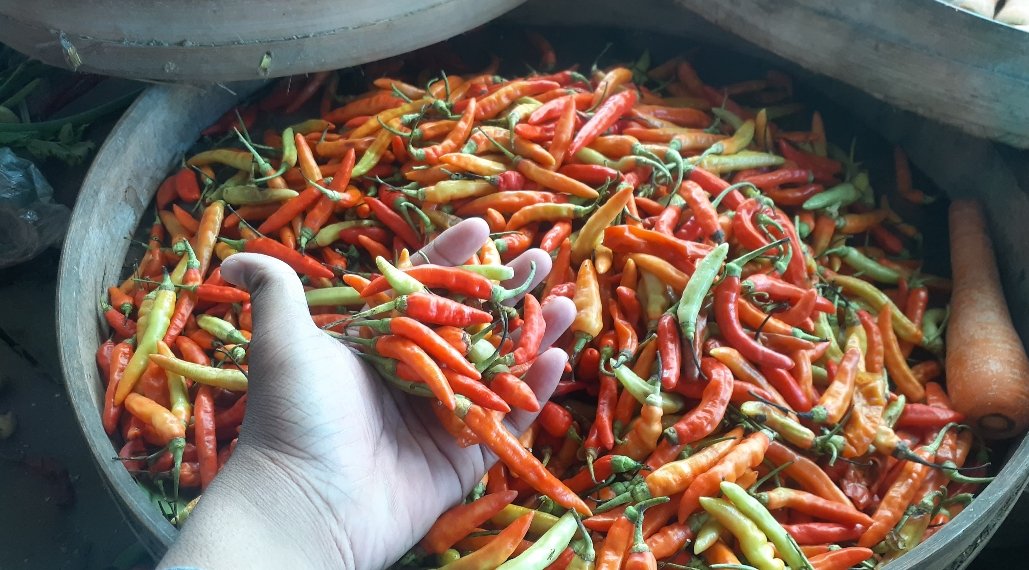 Harga Cabai Meroket Rp100.000/kg di Pasar Ngemplak, Pedagang dan Konsumen Resah?