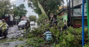 Hujan Deras di Tulungagung, Ranting Pohon Tua Tumbang di Dekat Plaza Nirwana