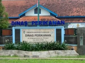 Langkah Strategis Dinas Perikanan Tulungagung Dukung Ketahanan Pangan dan Program MBG
