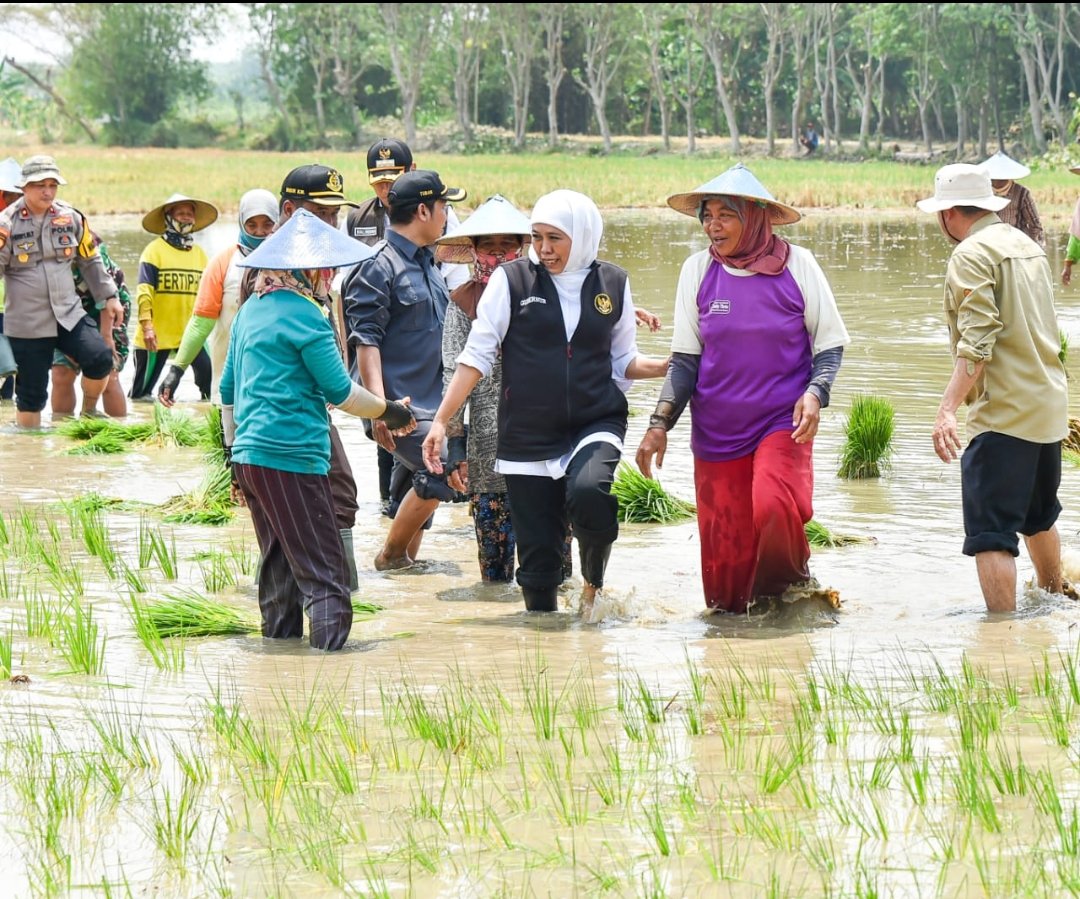 Gubernur Khofifah: Komitmen Wujudkan Kedaulatan Pangan di Jawa Timur
