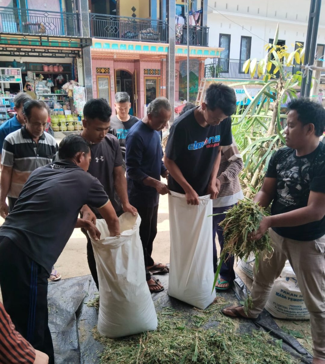 Dinas Peternakan Trenggalek Gelar Pelatihan Silase, Dorong Kemandirian dan Peluang Usaha Peternak