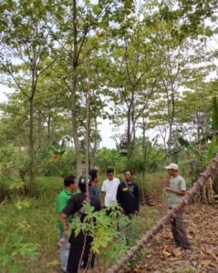 KHDPK: Bukan Politik Transaksional, Melainkan Investasi Sosial Menuju Kemandirian Desa Hutan