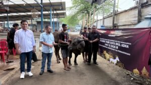 BoloneMase Indonesia Tebar Berkah Idul Adha, Kurban Jadi Jembatan Kepedulian untuk Masyarakat