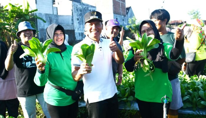 Baharudin Tinjau Wisata Petik Sayur Kepatihan, Ketahanan Pangan Dimulai dari Lingkungan Terkecil