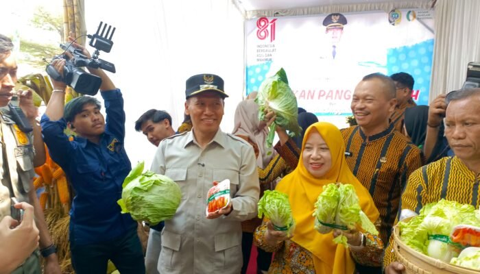 Baharudin Pastikan Stok Pangan Aman Lewat Gerakan Pangan Murah