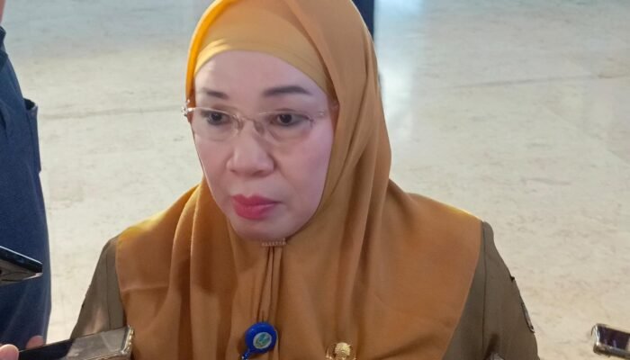 Kepala DPMPTSP Imroatul Mufidah Ungkap Investasi Tulungagung Tembus Rp652 Miliar