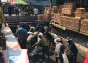 Lima Tahun Kekeringan, Air Sawah Singosari Mulai Mengalir